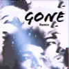 Kaushal K & Harsh - Gone (Remix) - Single